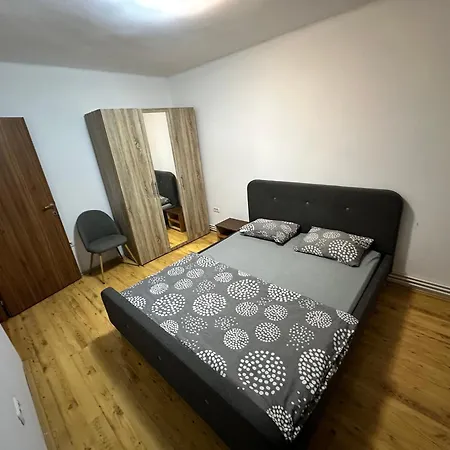 2 * Timisoara